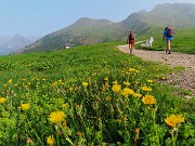 Laghi di Ponteranica dai Piani dell’Avaro con splendide fioriture – 9 giugno 25 - FOTOGALLERY